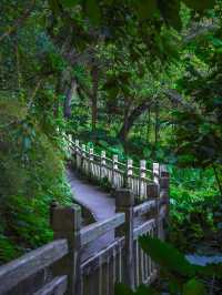#尋蹤廣州潯峰山生態公園，邂逅自然之美