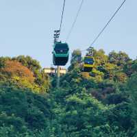 深圳淘金山綠道：穿梭綠道山林，一日徒步攬勝