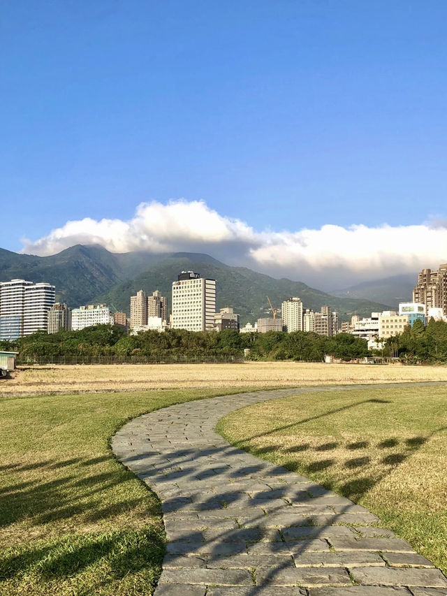 禪風深處，靜水流年