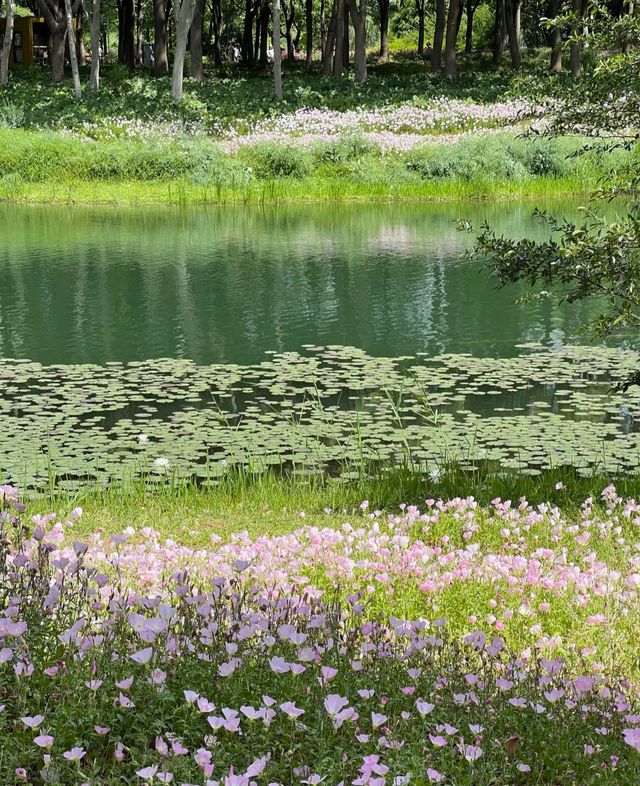 虎丘濕地公園