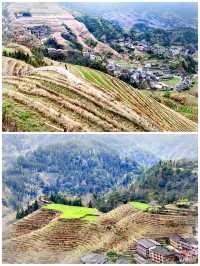 桂之旅丨龍勝龍脊梯田a