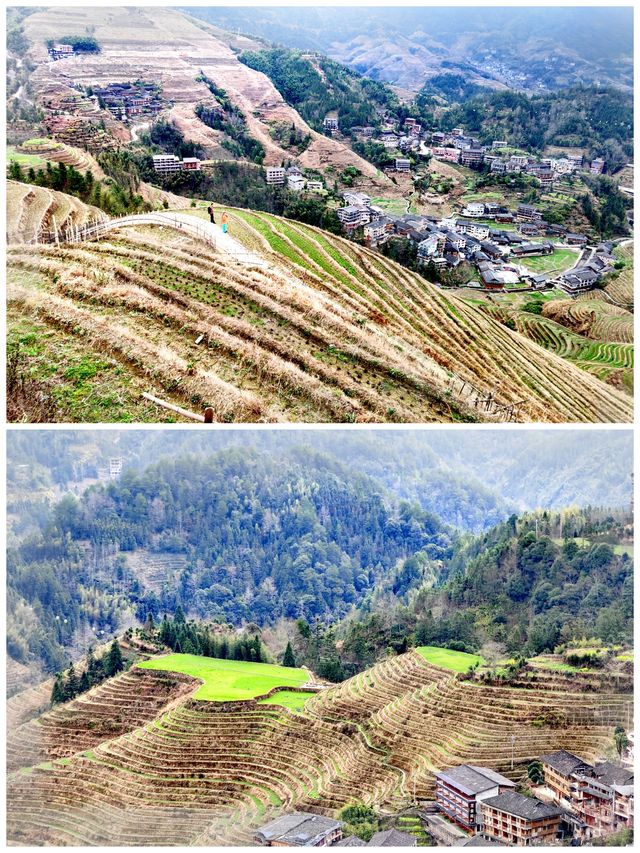 桂之旅丨龍勝龍脊梯田a