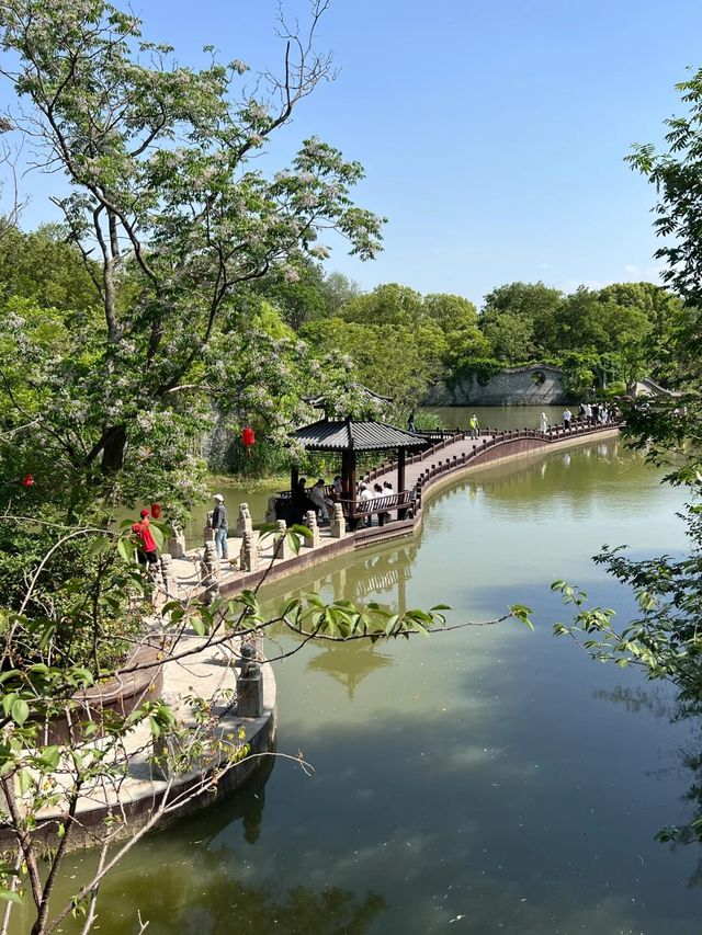 揚州小眾秘境大揭秘！朴園：免費園林中的隱世桃園
