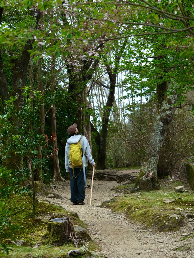 和歌山旅行 保姆級攻略嚟啦！