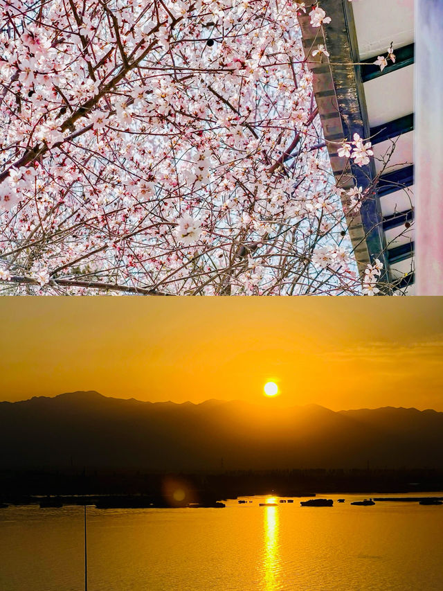 去銀川前必睇