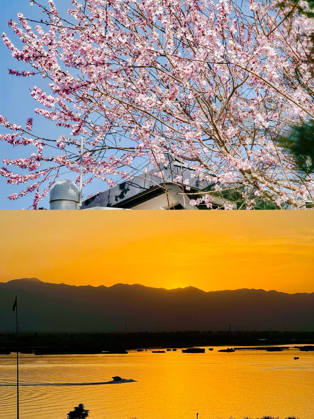 去銀川前必睇