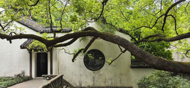 虎跑公園—隱於西湖畔嘅「天下第三泉」