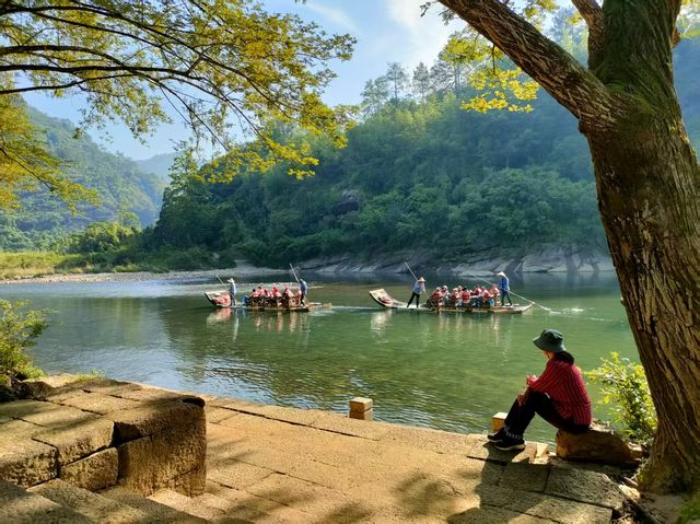 250511~15武夷山自由行記錄