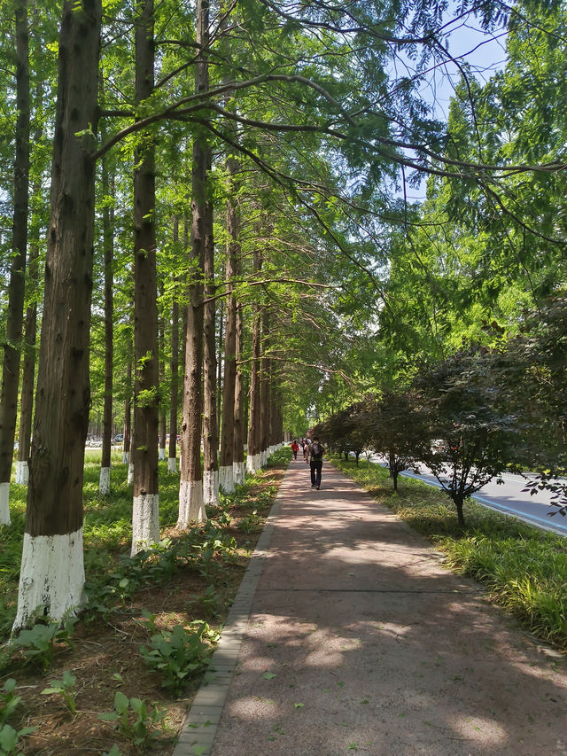 帶娃趕海 | 小長假鹽城3日遊攻略