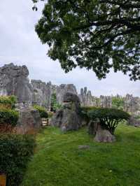 A Visit to The Stone Forests (and Stone Teeth) of Guilin 🏔️🌳