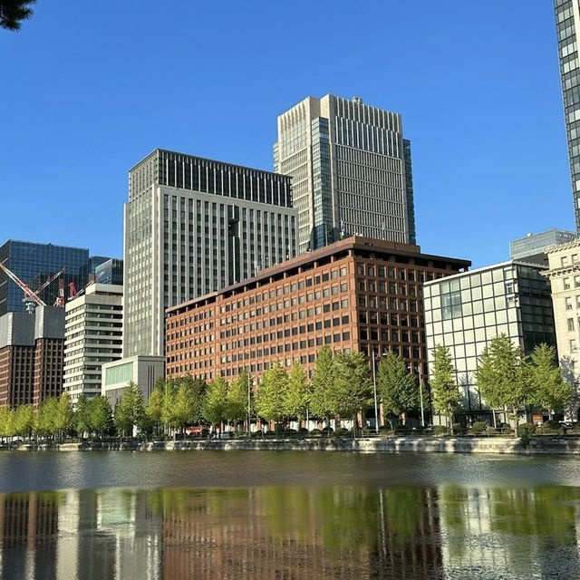 日本東京大阪8日自由行攻略｜阪進東出の超詳細行程✨ 