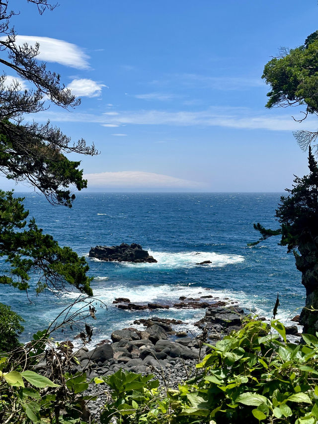 比起富士山！我更喜欢（你的名字）原型大室山