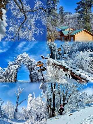 A "Vacation Paradise" in the Clouds