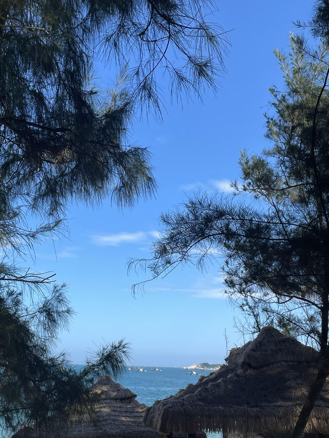 唔好再亂搵啦！東山島超全旅遊攻略