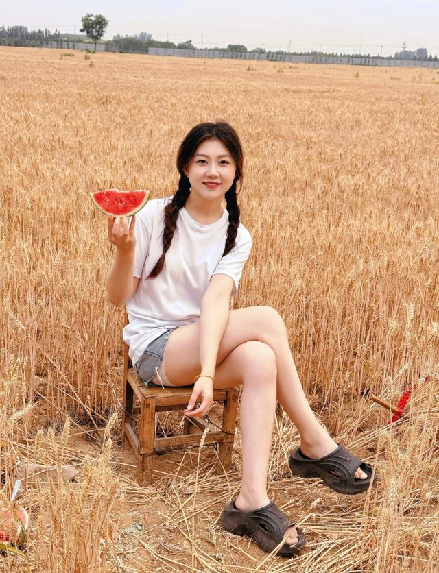 麥田係夏天嘅寶藏劇場 我當主角