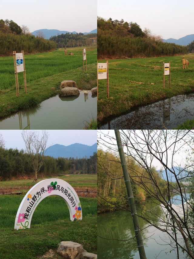 喺莫干山發現咗個帶小朋友去玩嘅寶藏地