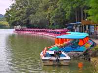 柳州版九寨溝｜龍潭公園