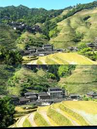 探索龍脊梯田：穿越歷史，定格絕美風光