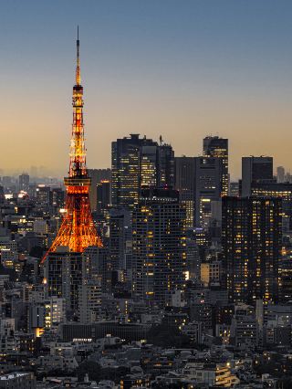 Tokyo's Best Night View Spot – And It's Free?! 