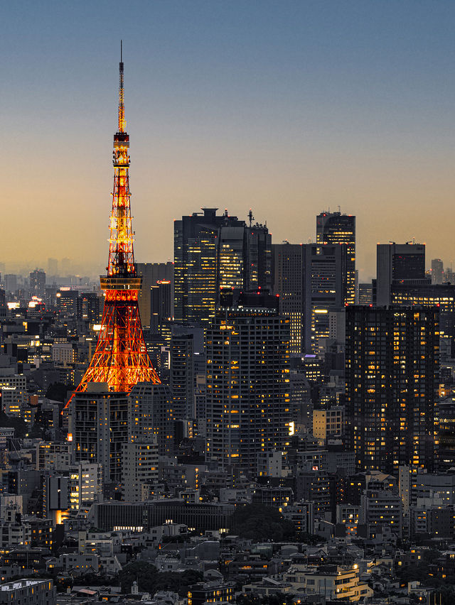 東京夜景天花板！竟然免費？！
