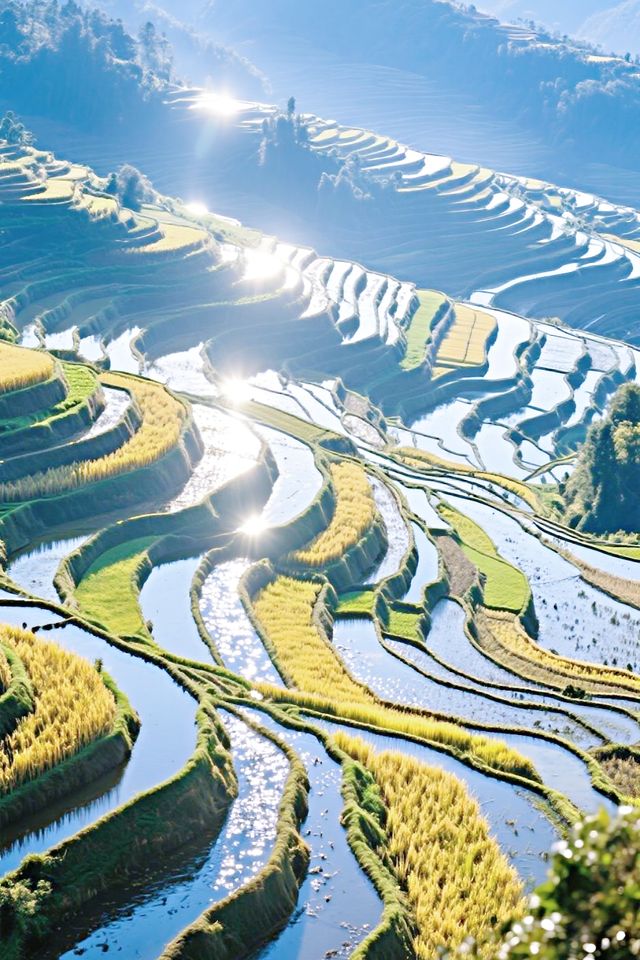 梯田—天顏