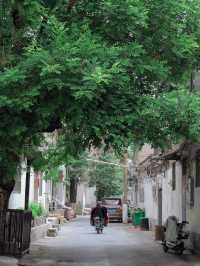 安陽老城Citywalk，觸摸時光流逝嘅痕跡。