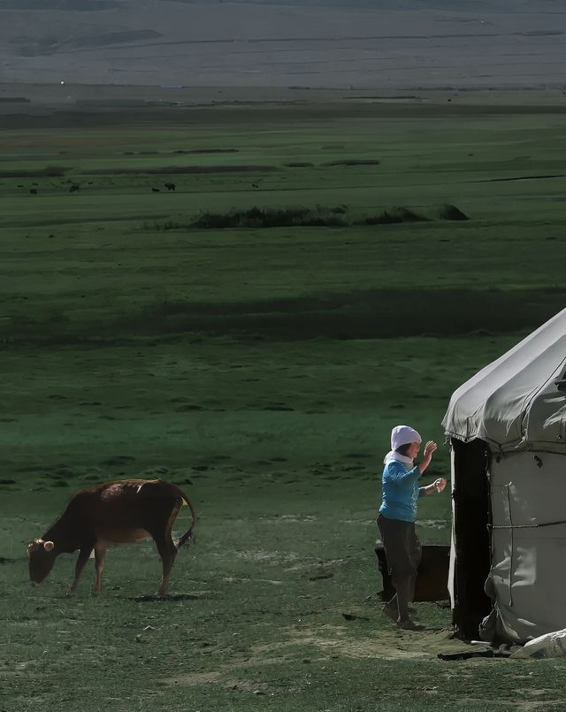 冰川湖泊與火山濕地的清涼交響