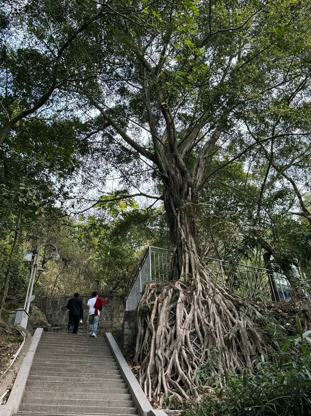 揭陽黃岐山 | 邂逅自然與歷史的詩意之旅。