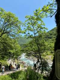 二郎山喇叭河餵鹿睇猴行山攻略，差啲俾馬騮襲擊！