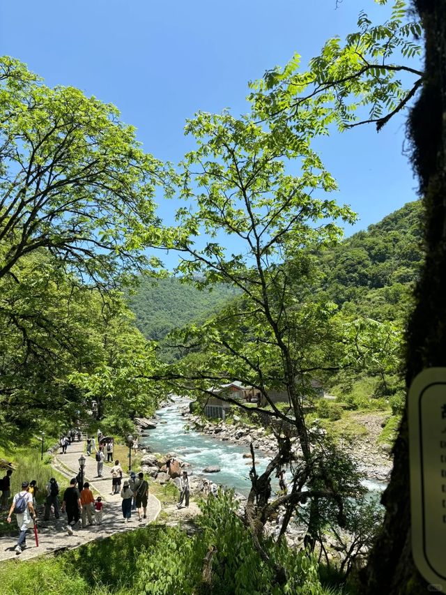 二郎山喇叭河餵鹿睇猴行山攻略，差啲俾馬騮襲擊！