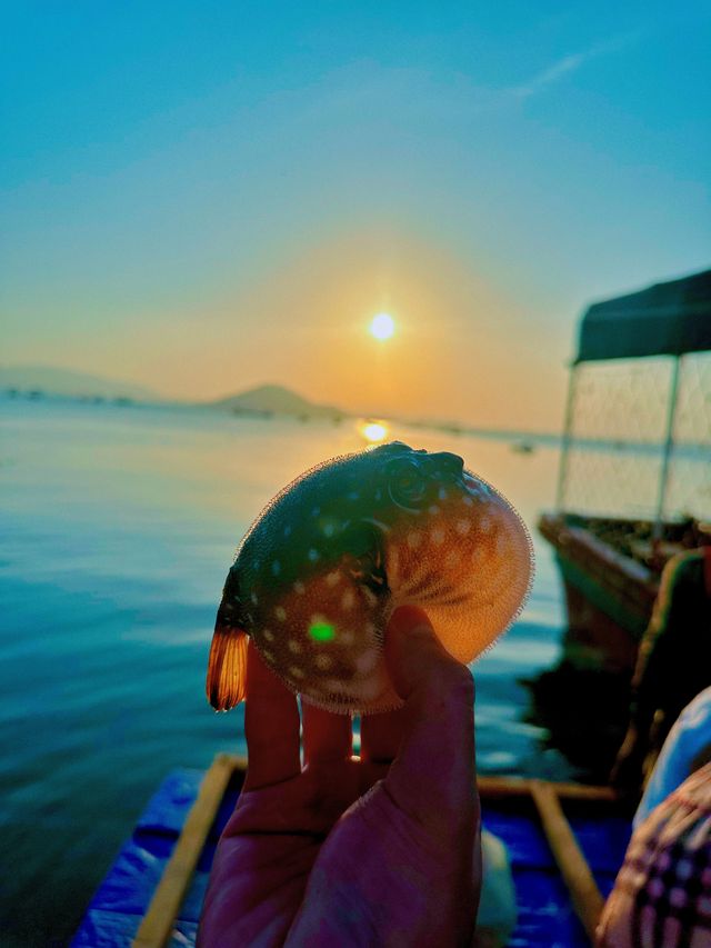海南旅遊趕海划槳板海鮮大餐全安排