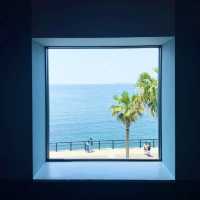 🌊炸裂！大阪臨空城驚現果凍海，關西機場旁的視覺暴擊