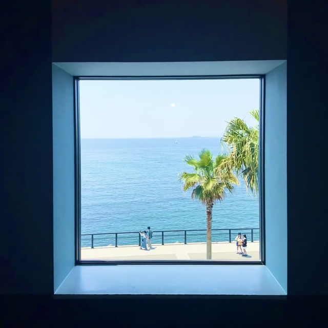 🌊炸裂！大阪臨空城驚現果凍海，關西機場旁的視覺暴擊