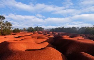Nanchang Anyi | Greenland Nanchang Annan Town Net-patterned Red Soil Park