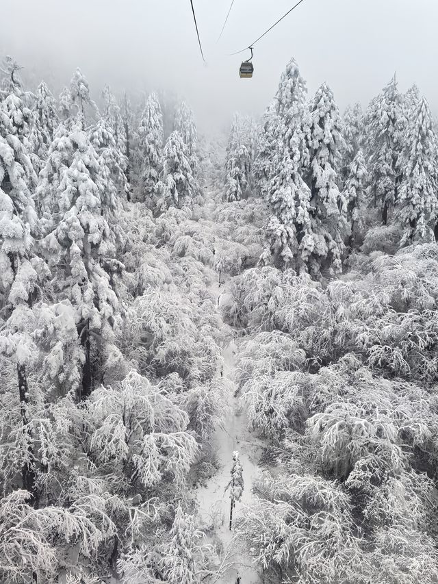 海螺溝是中國唯一的「冰川森林公園」，是「蜀山之王」