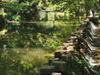 全景安徽，黃山九華山連遊，宏村三河包公園