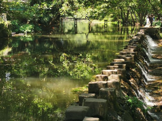 全景安徽，黃山九華山連遊，宏村三河包公園