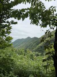 尖峰嶺森林公園，湖南郴州嘅天然氧吧
