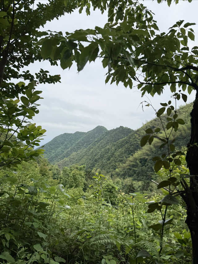 尖峰嶺森林公園，湖南郴州嘅天然氧吧
