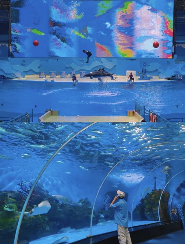 泉州隱藏玩法！解鎖海上童話王國嘅夢幻之旅