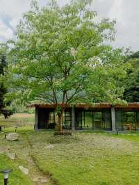 喺山野嘅褶皺裏面 藏咗一夜好眠
