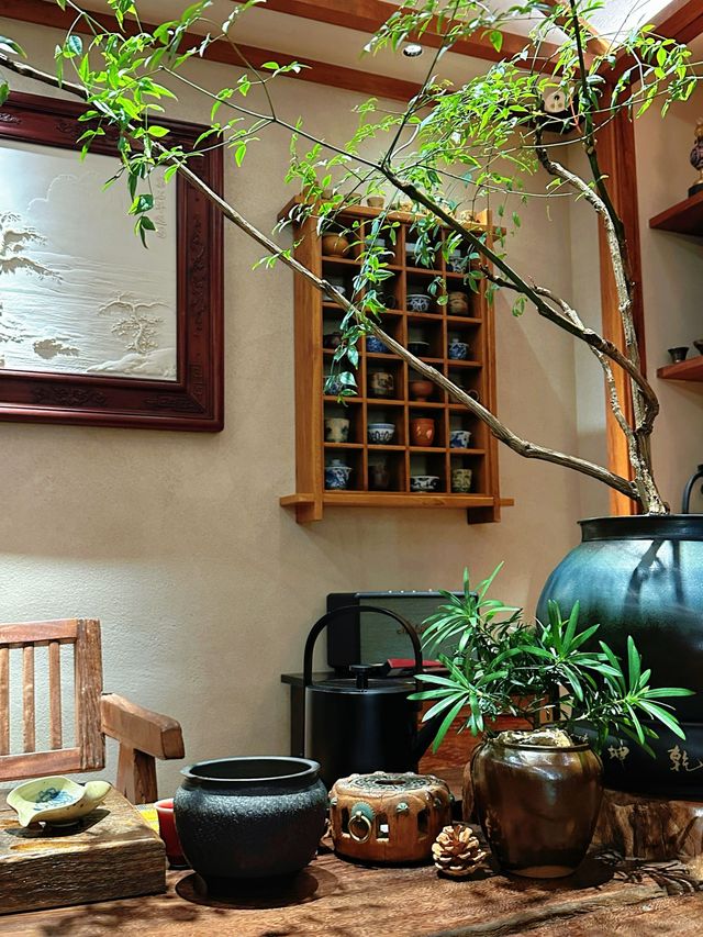 來瓷緣舍品茗觀魚！體驗禪意慢生活～