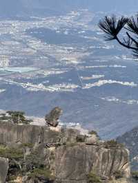 合肥啟程！西溪南黃山宏村太平湖五日遊。