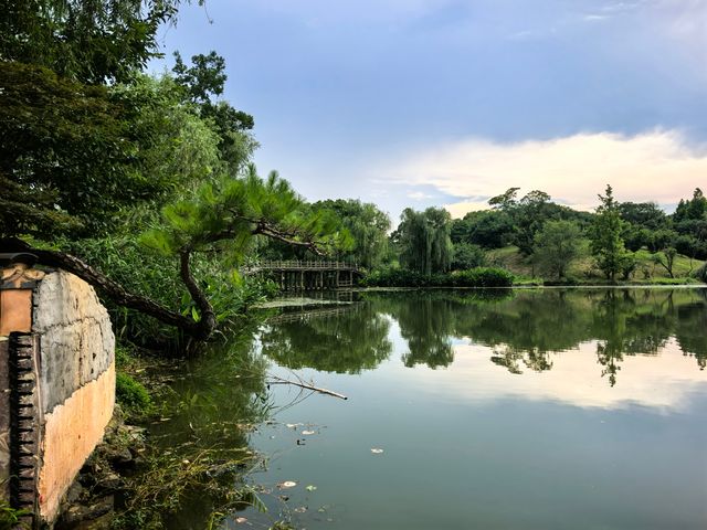 寧波文藝青年必去茶空間