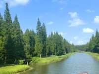 去咗4次黃海森林公園，終於玩到明晒！