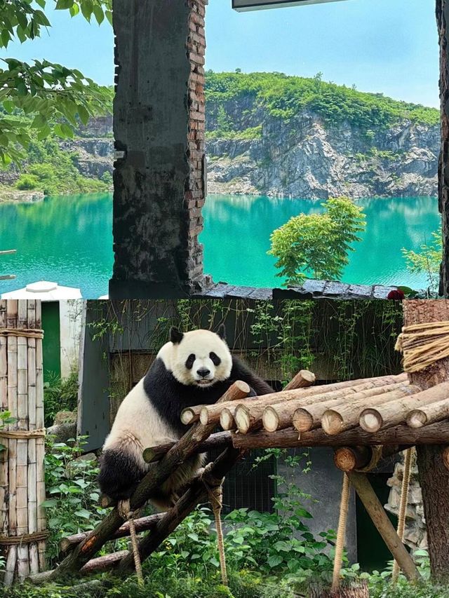 詩與遠方的邂逅｜安吉兩日一夜旅遊攻略