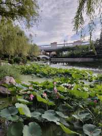 閒遊板橋坊河之三湖公園