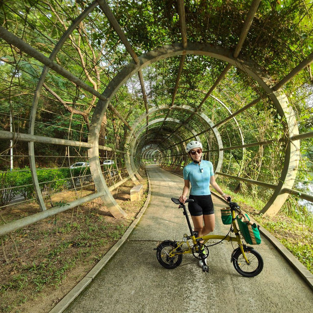單車旅行 松山湖 33小鎮夜市 短線行程