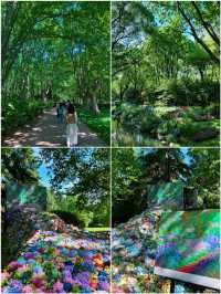 太靚啦！現實版莫奈花園～