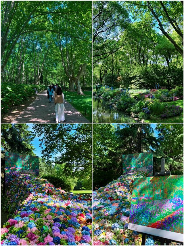 太靚啦！現實版莫奈花園～
